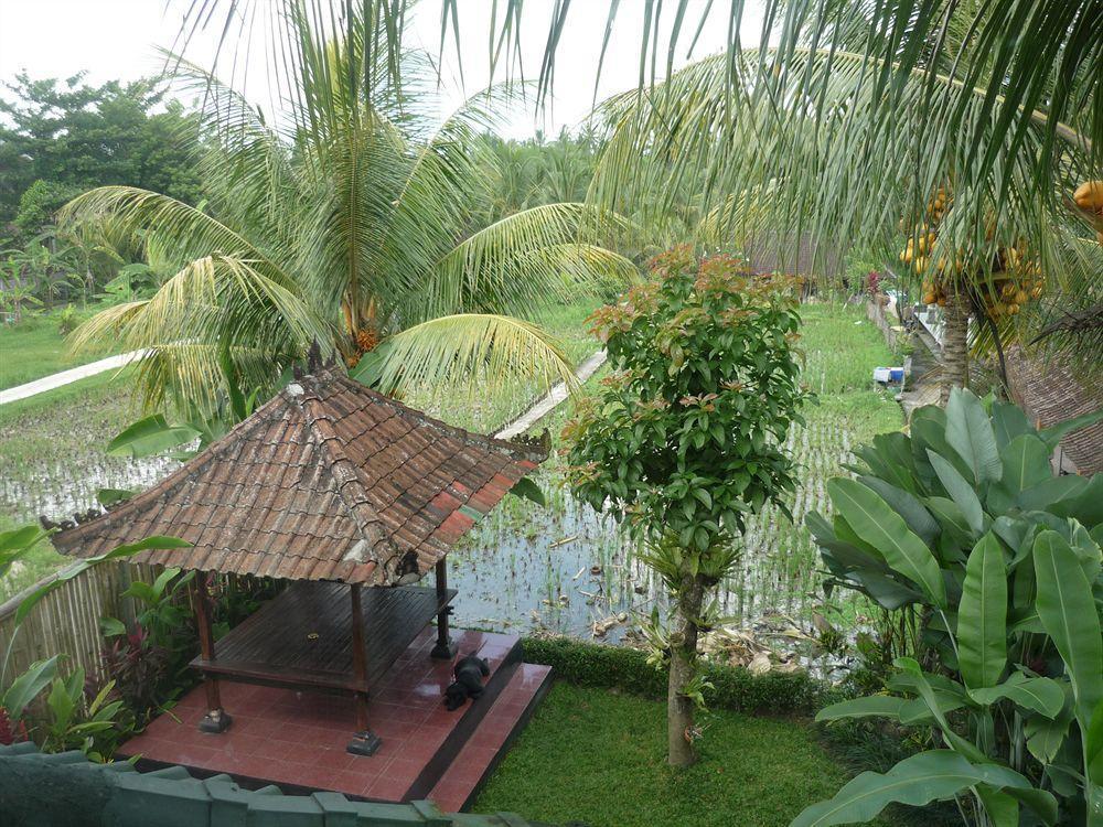 Kudos Guesthouse Ubud Εξωτερικό φωτογραφία